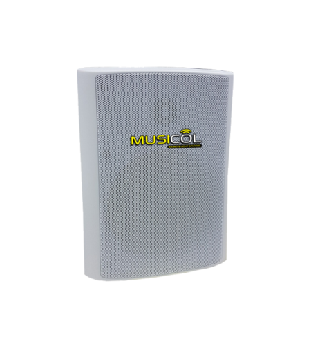 זוג רמקולים פסיביים עם ווליום 