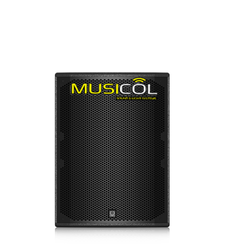 רמקול פסיבי 