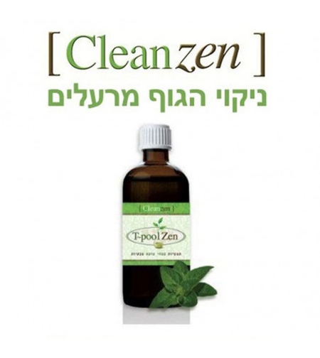 Clean Zen 100ml
