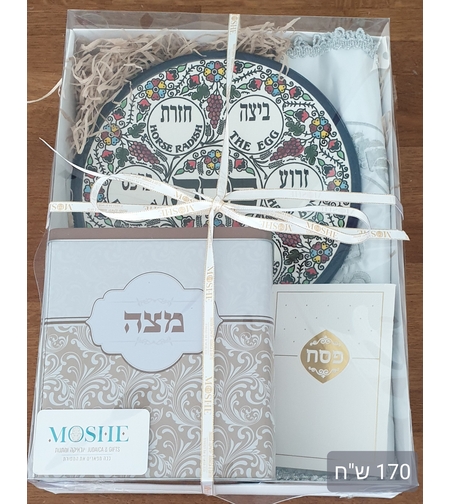 David Passover case model