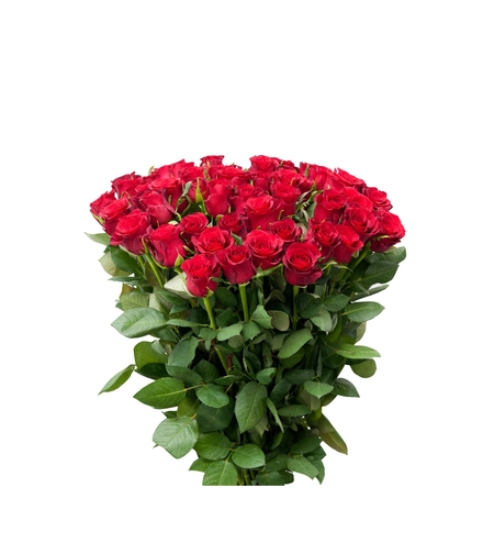 Bouquet of 51 roses