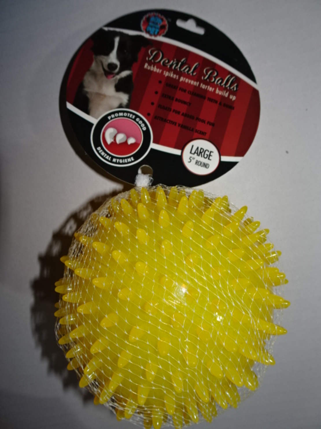 צעצוע לכלב - נשכן דנטלי כדור גדול