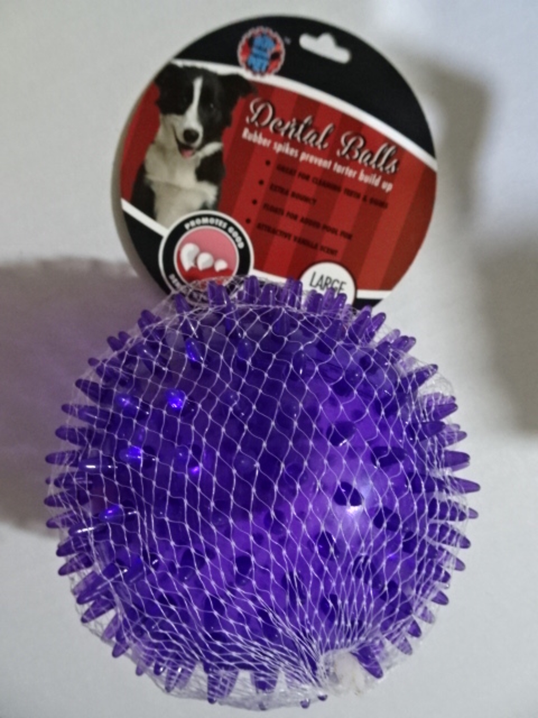 צעצוע לכלב - נשכן דנטלי כדור גדול