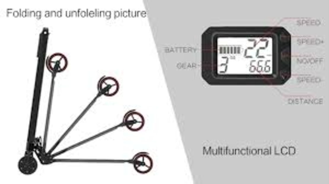 באגי בייק פלאם Bagi Bike Plume