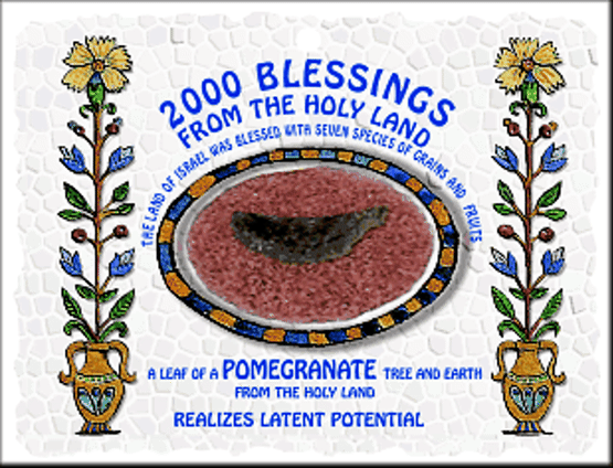 Pomegranate  - Realizes latent potential