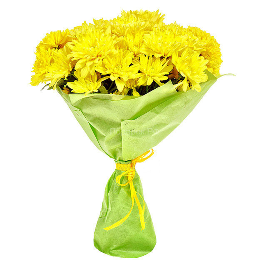 זר חרצית קטן - חן וצניעות