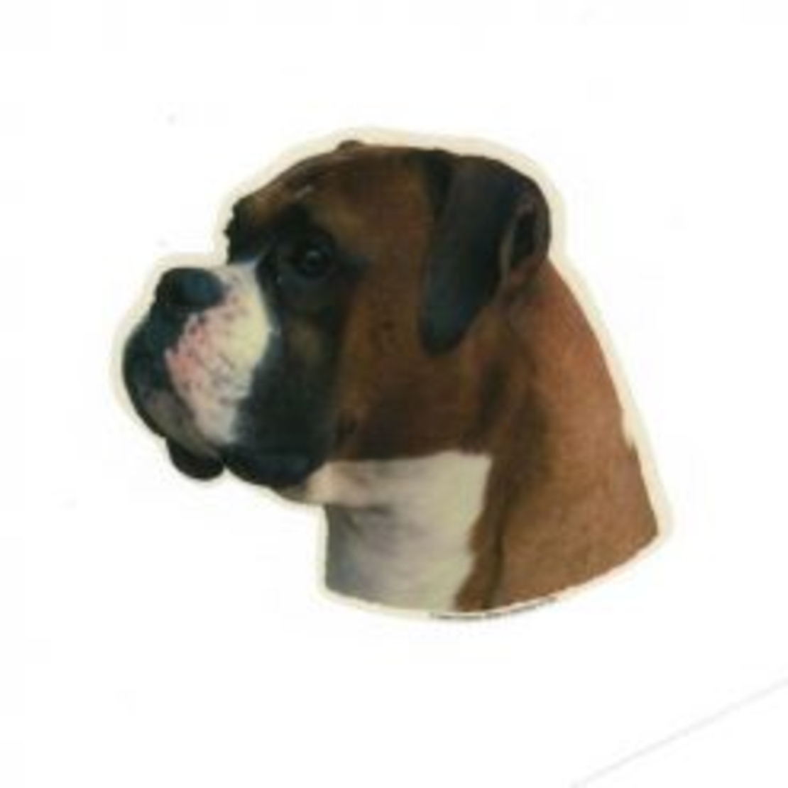 זוג מדבקות לרכב- בוקסר