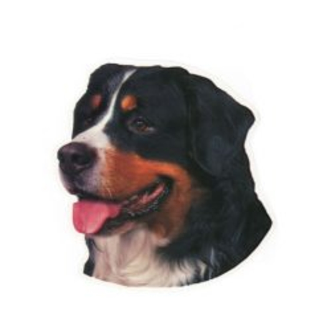 זוג מדבקות לרכב- ברניז