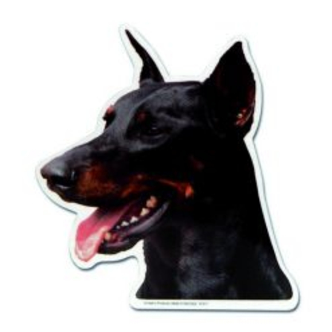 זוג מדבקות לרכב- דוברמן