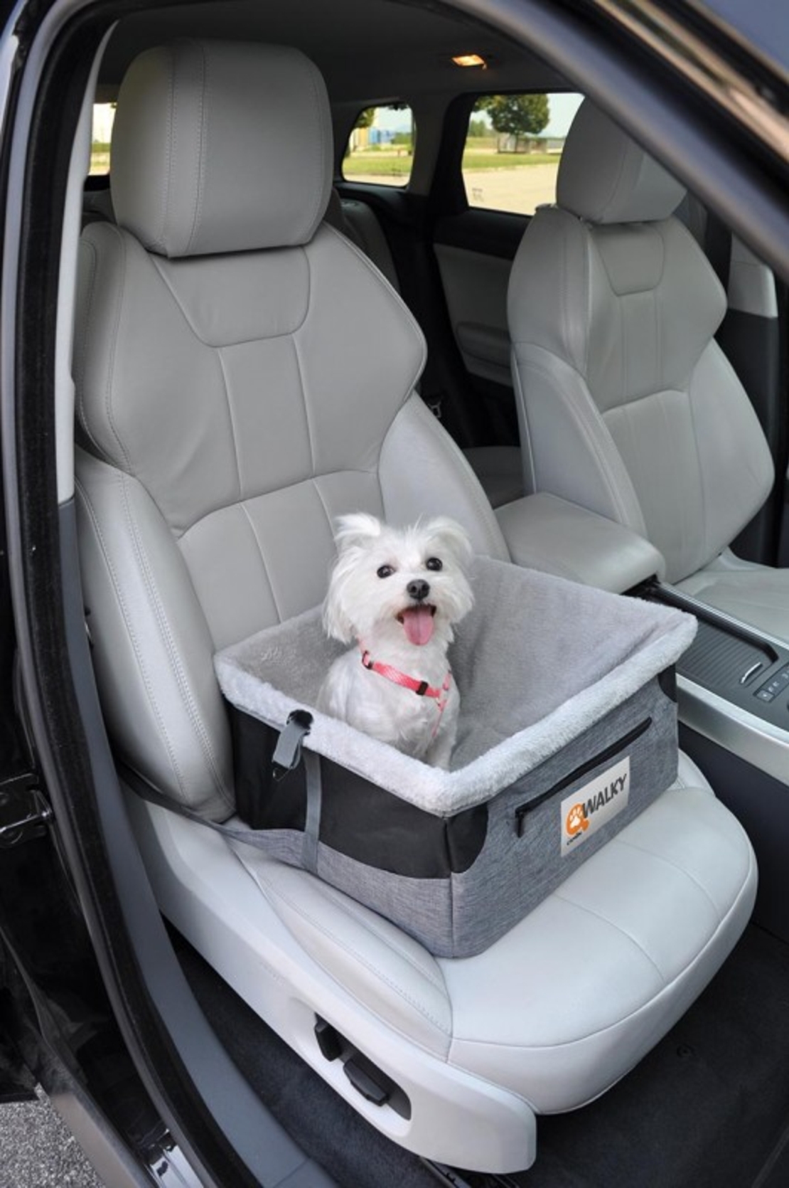 תא נסיעה למושב קדמי 