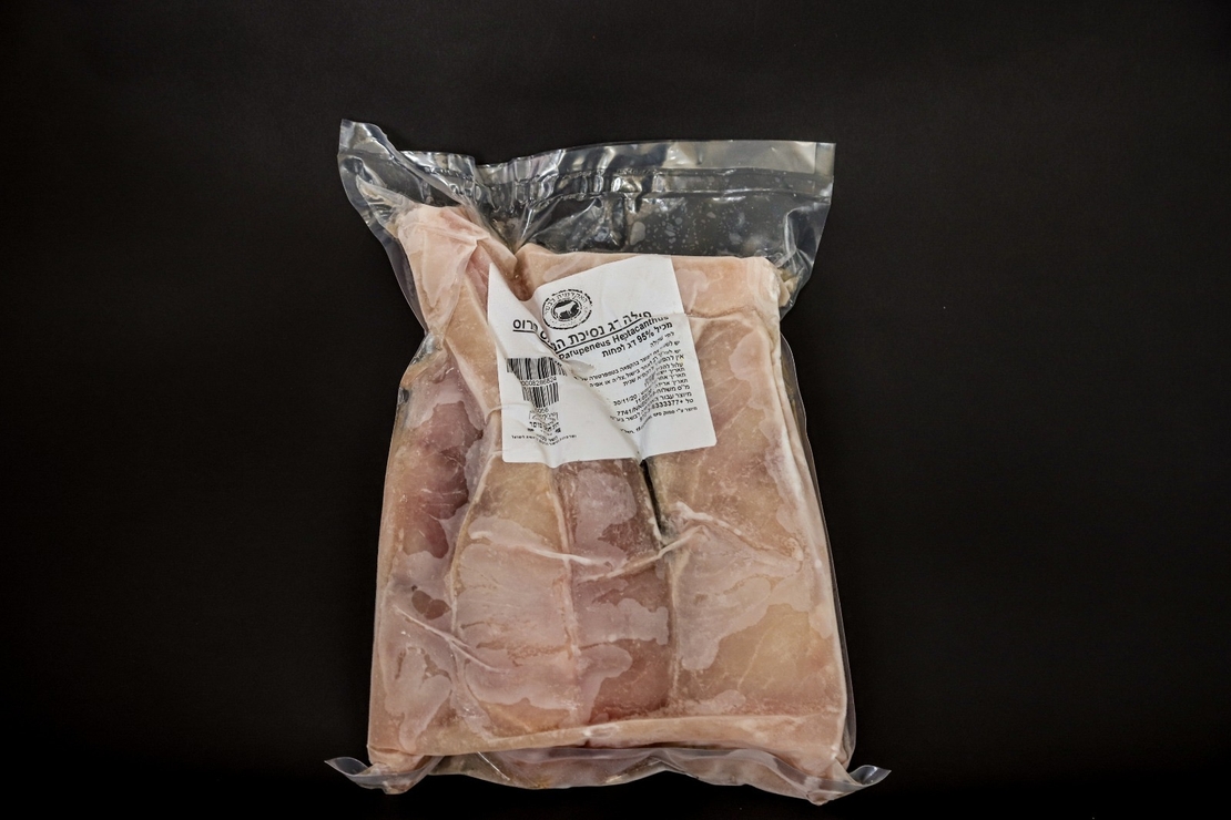 פילה דג נסיכת הנילוס פרוס מנות קפוא