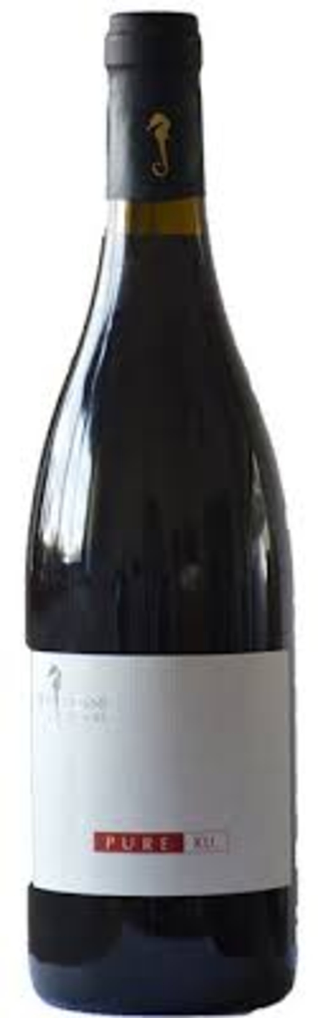 פיור קונאג- PURE KU,סוסון ים 