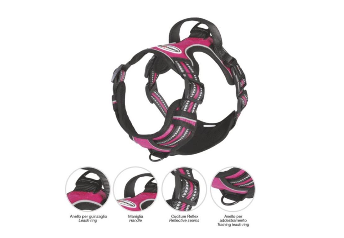 ריתמה מחוזקת עם תוספת איזי ווק 