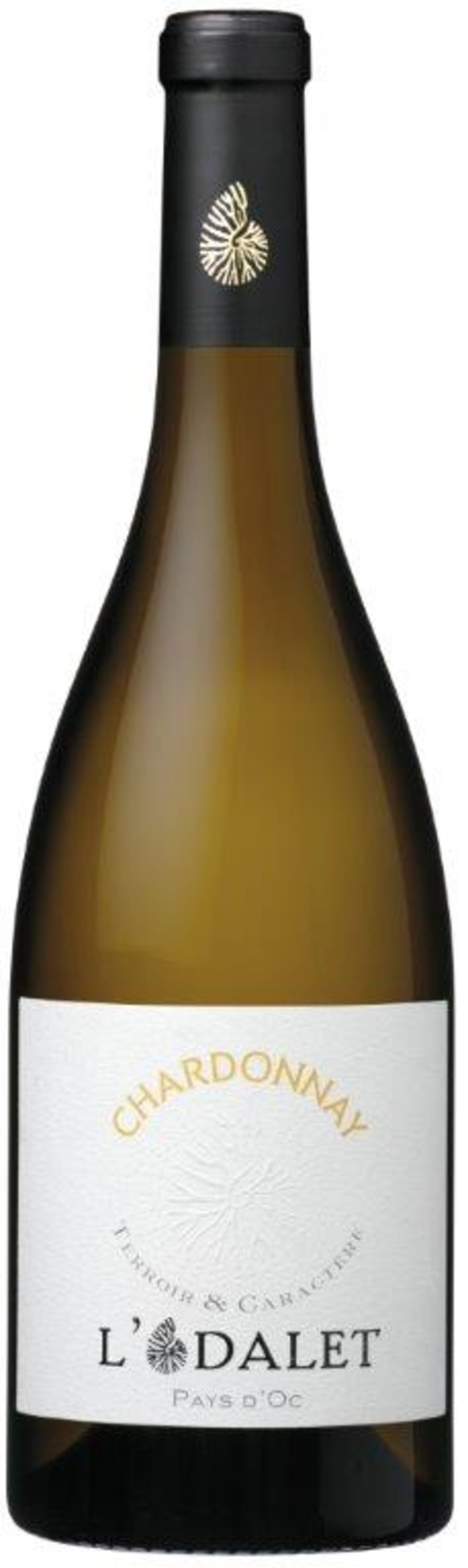 לודאלט שרדונה 