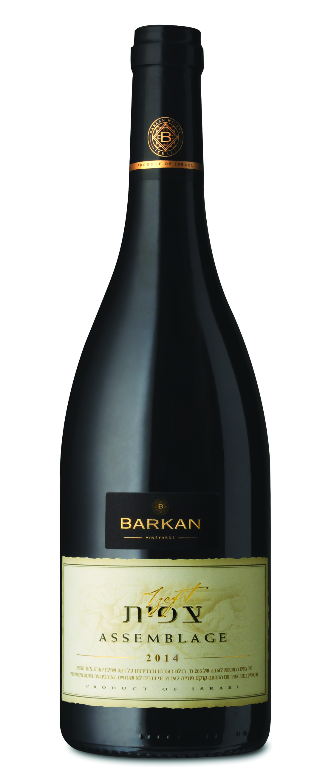 צפית אסמבלאז-ברקן 