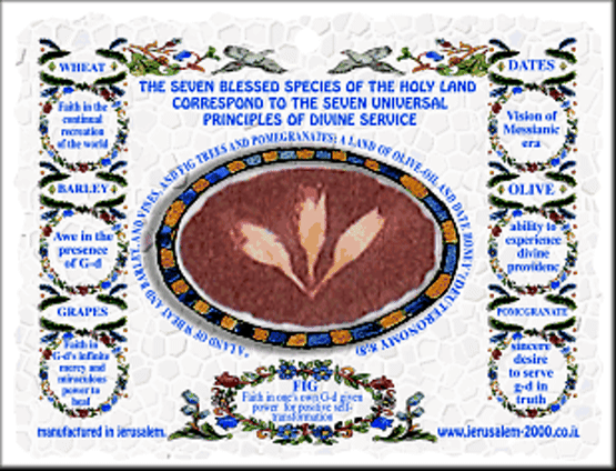  Wheat - Arouses love for G-d and man.