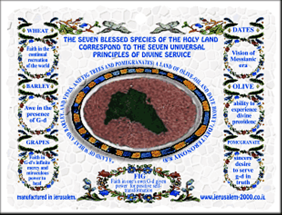 Grape - Gefen - Heals the body and soul