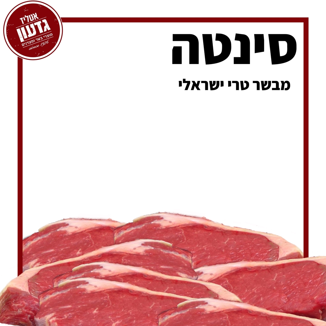סינטה טרי מובחר
