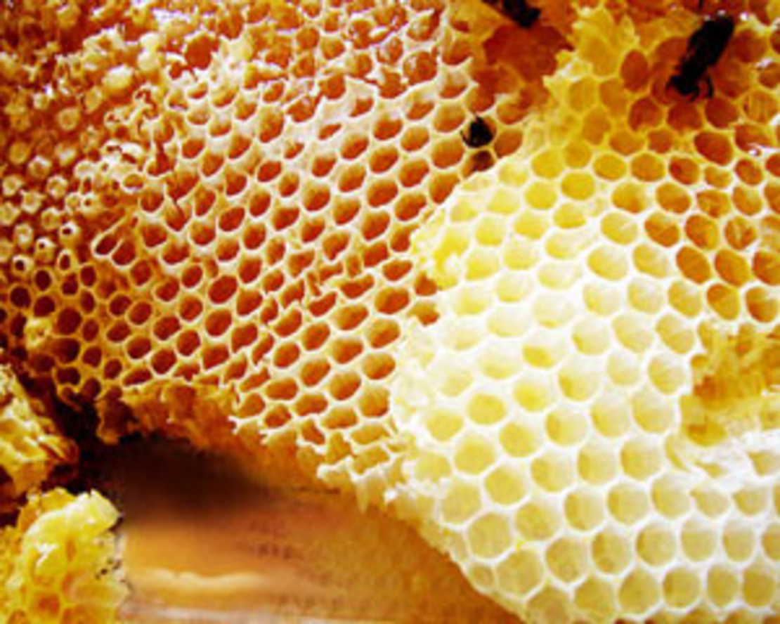 דבש אתיופי (ማር) 