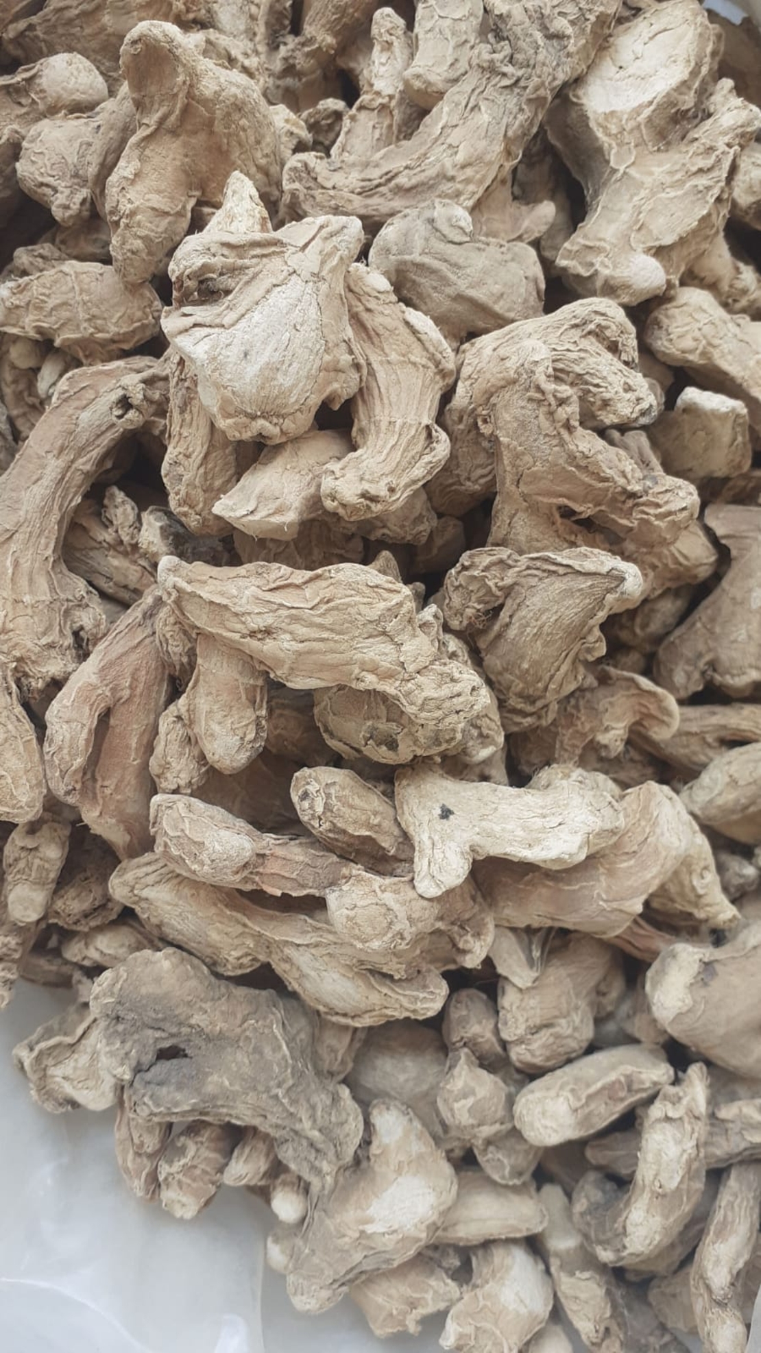 זנגביל רפואי-ዝንጅብል