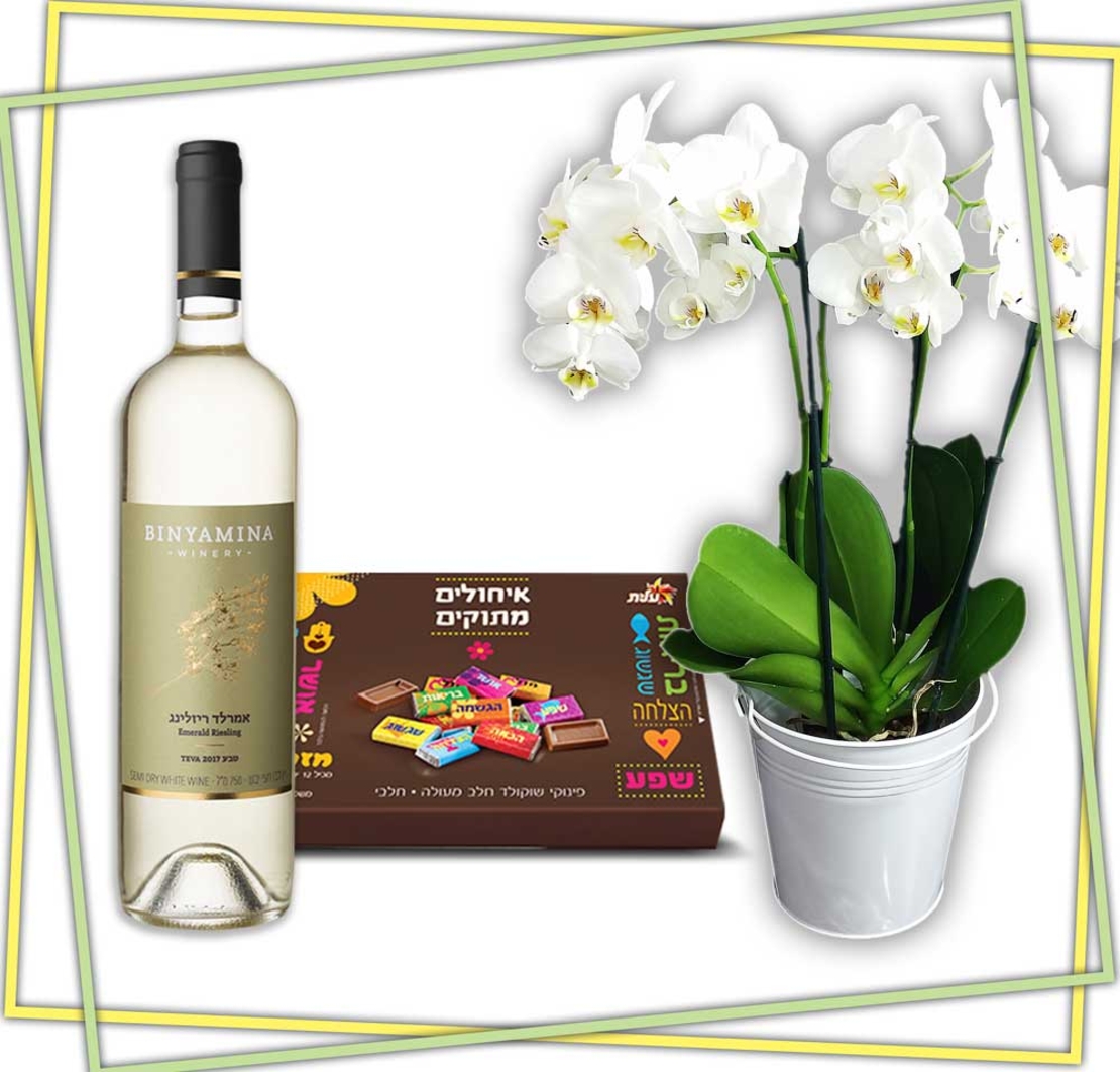 מארז אורכידאה