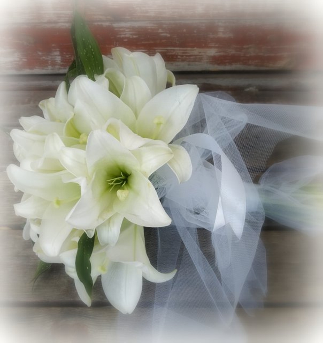 זר כלה הלנה