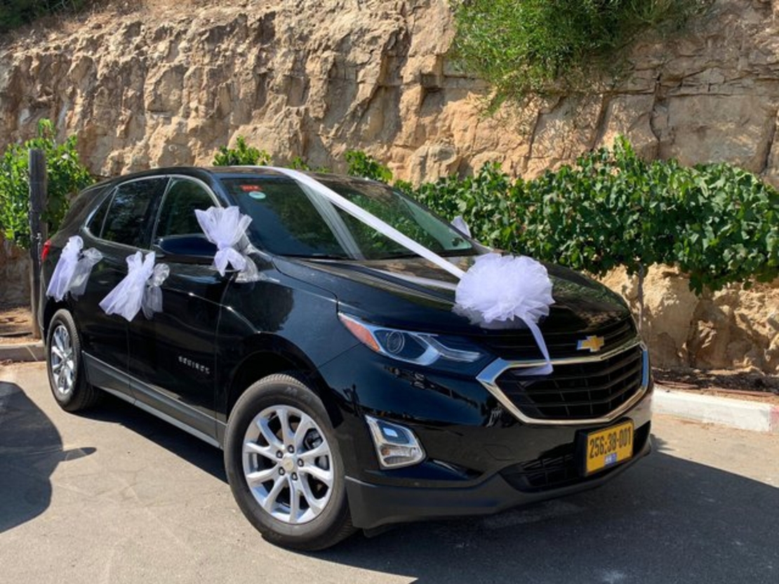 קישוט רכב בלבן