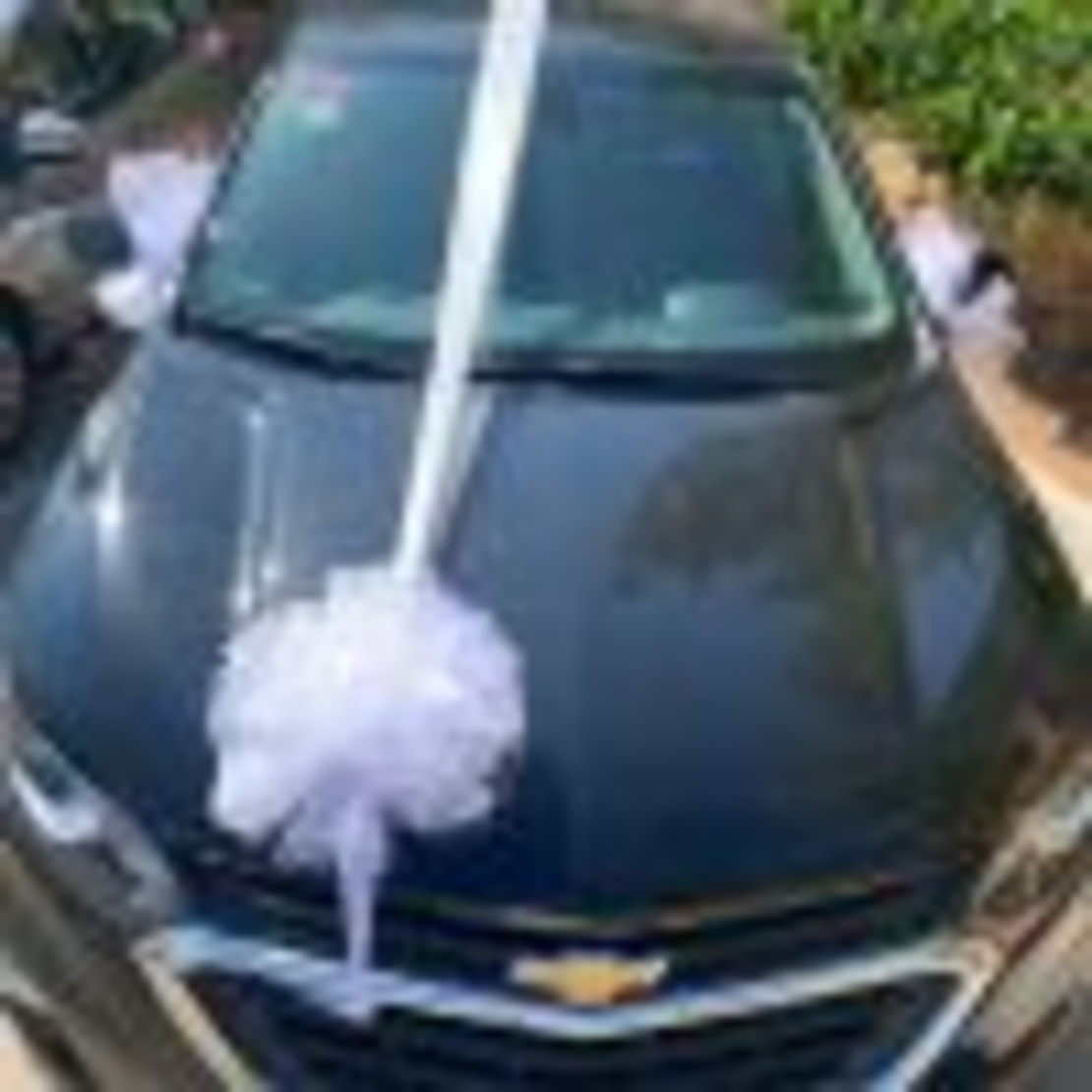 קישוט רכב בלבן