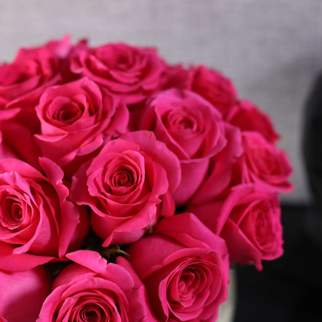 זר ודים Pink Floyd באגרטל