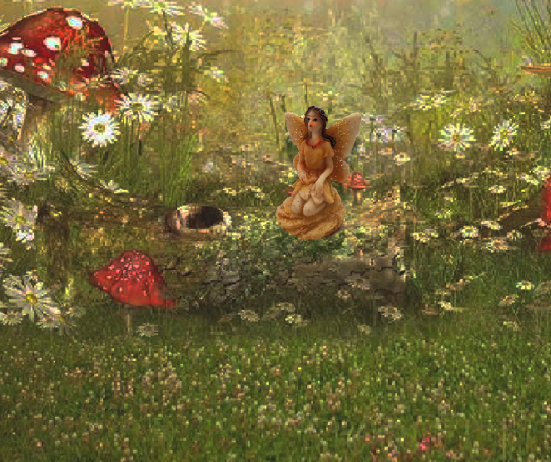 פיה כתומה יושבת