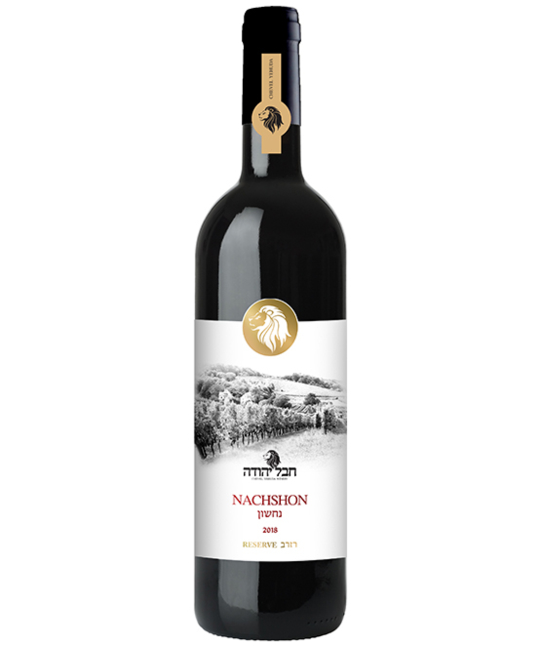 חבל יהודה - נחשון | בד