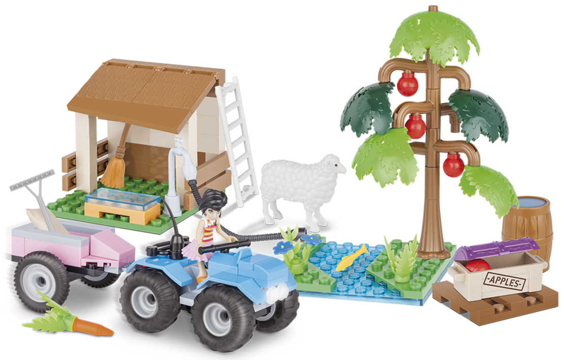 מטע תפוחים בכפר