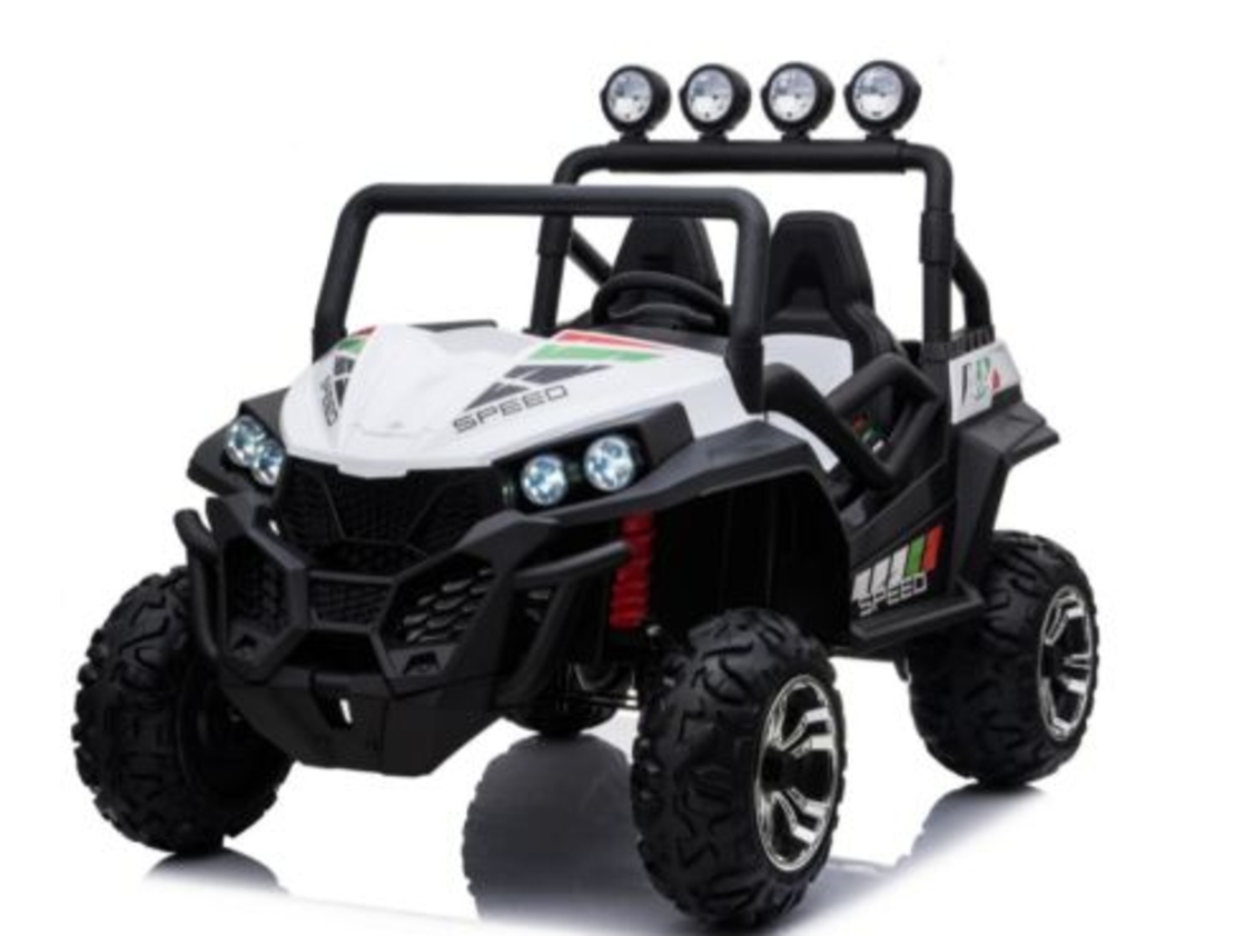 RZR 24V