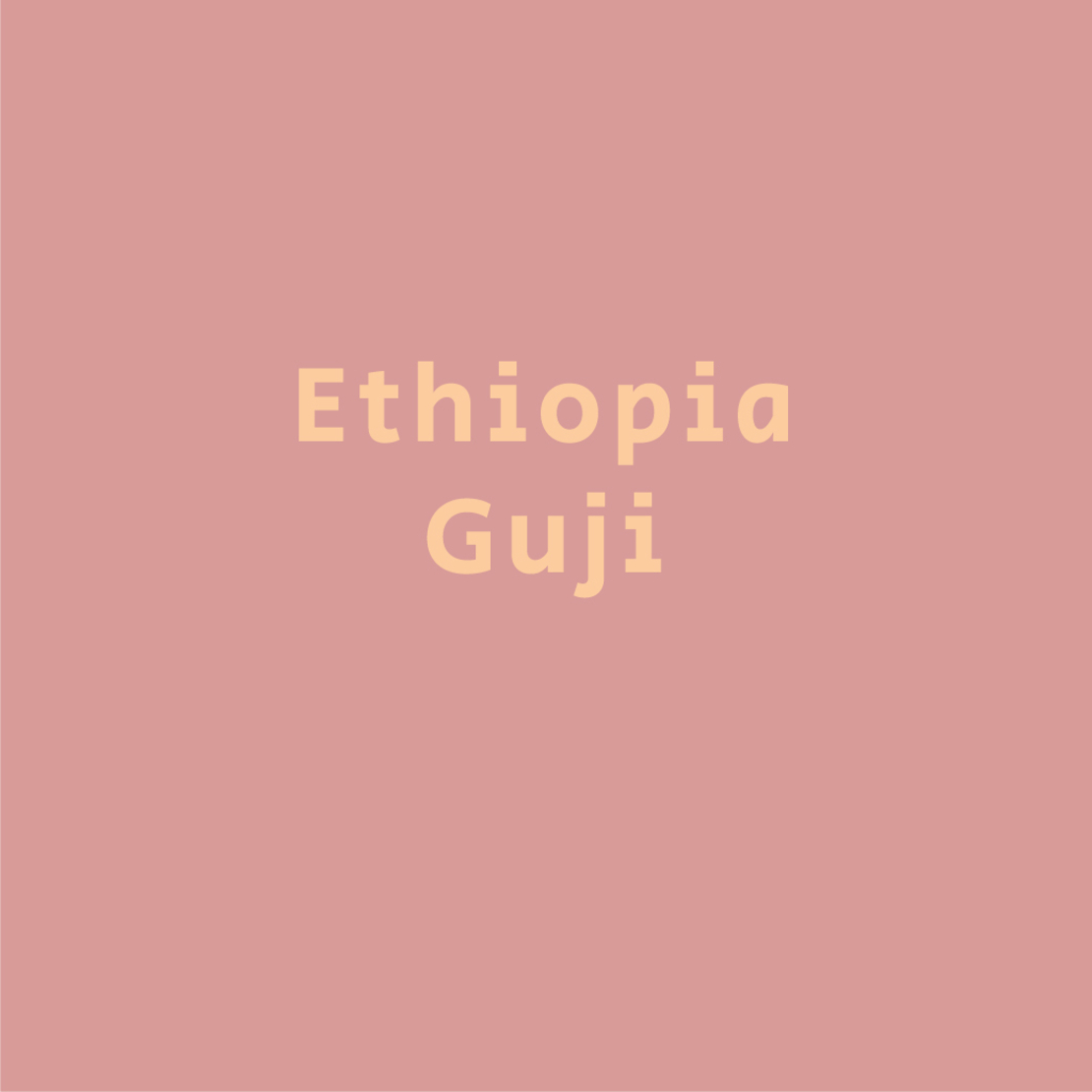 אתיופיה גוג'י