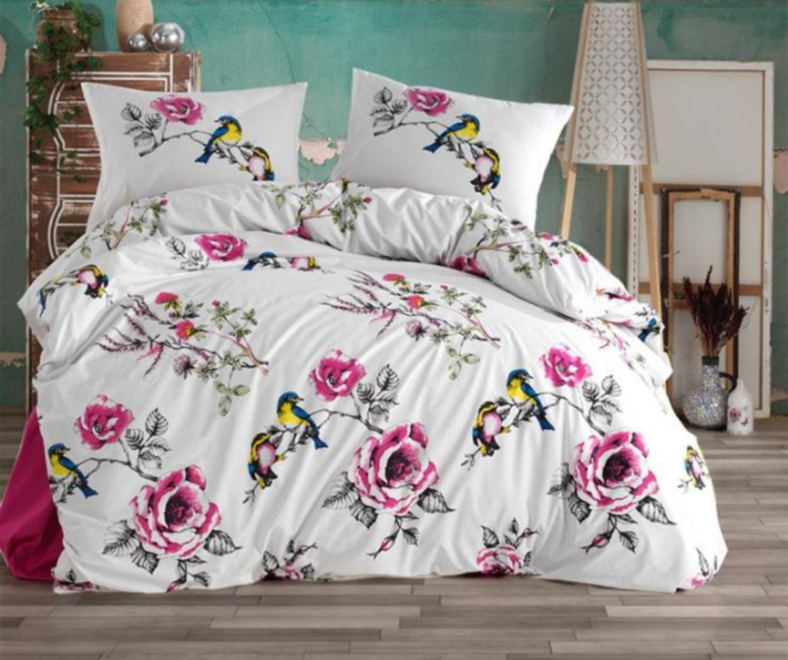 певчие птицы