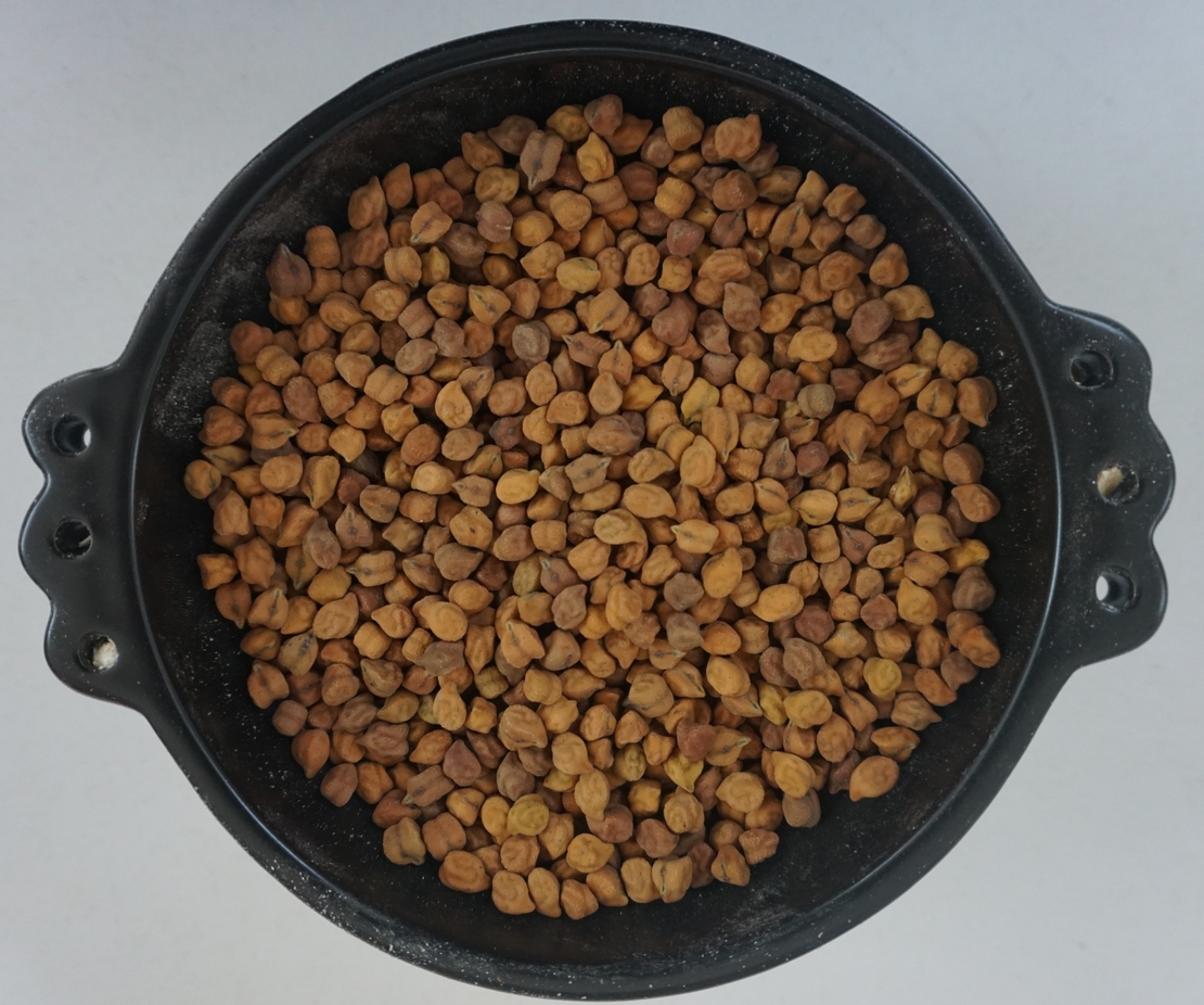 חמצה תרבותית-(שמברה) ሽምብረ