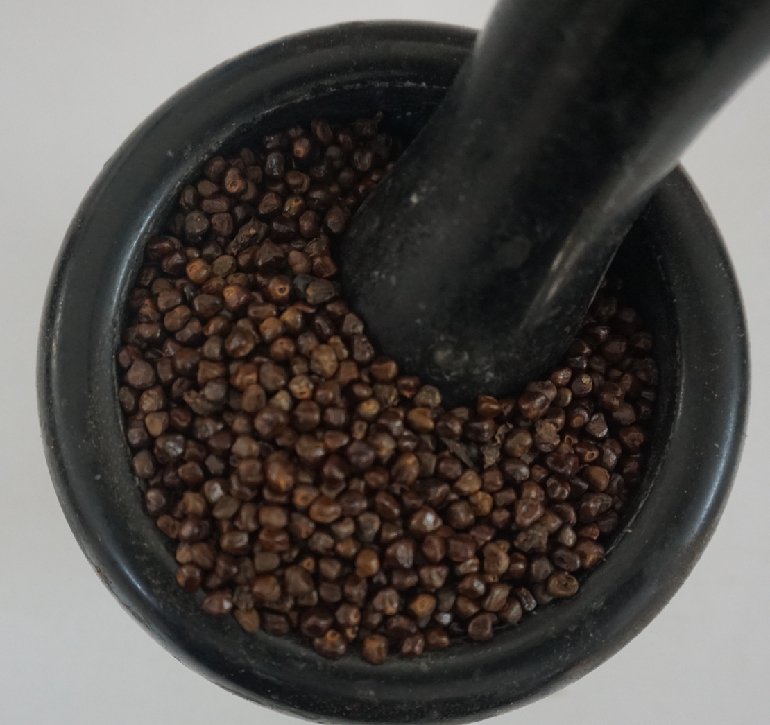 חמם (הל) נקי- (כּוֹרֶרִמַה) ኮረሪማ