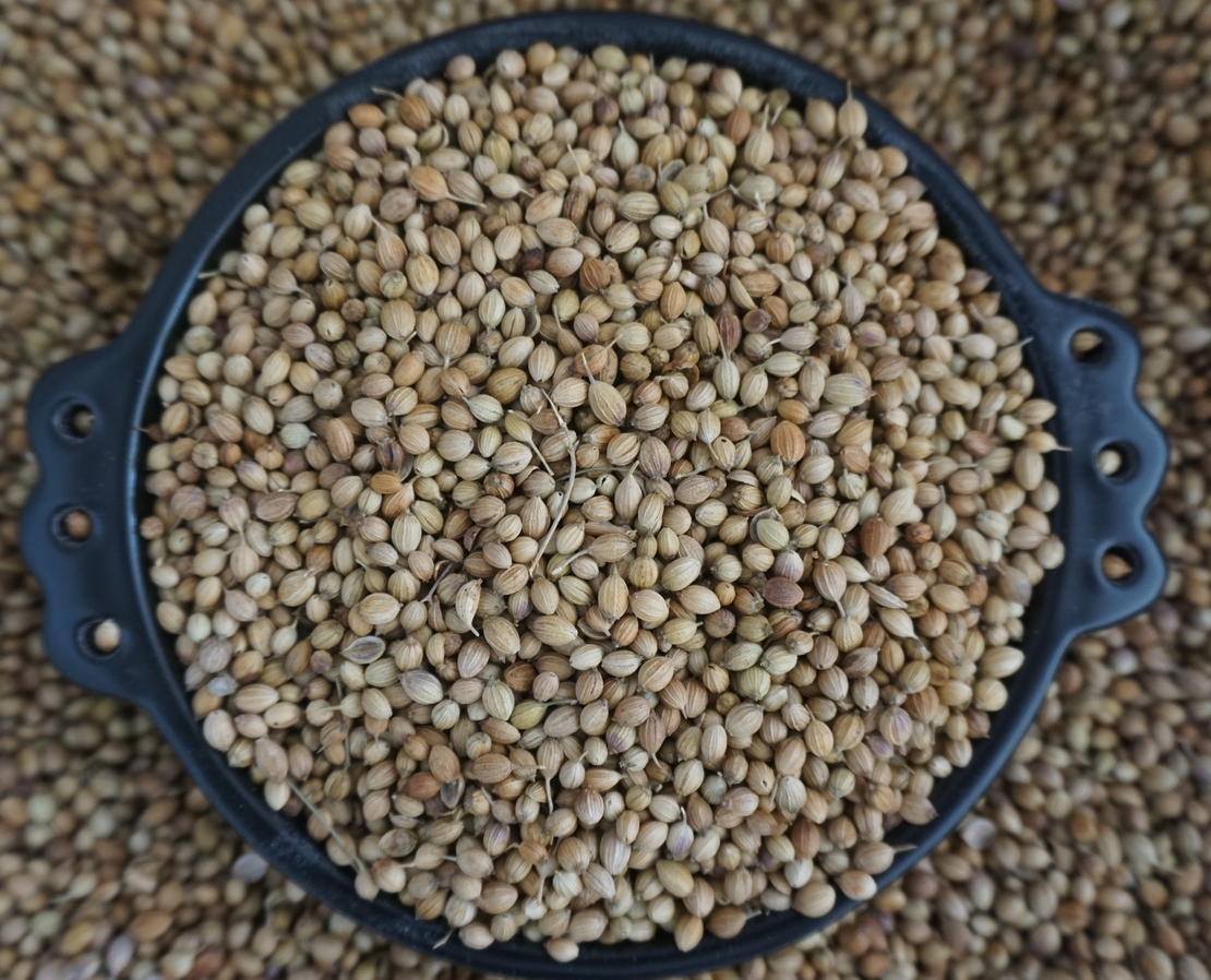 זרעי גד השדה (כֻּסְבֻּרָה) - (דְמְבְּלַל)ድምብላል