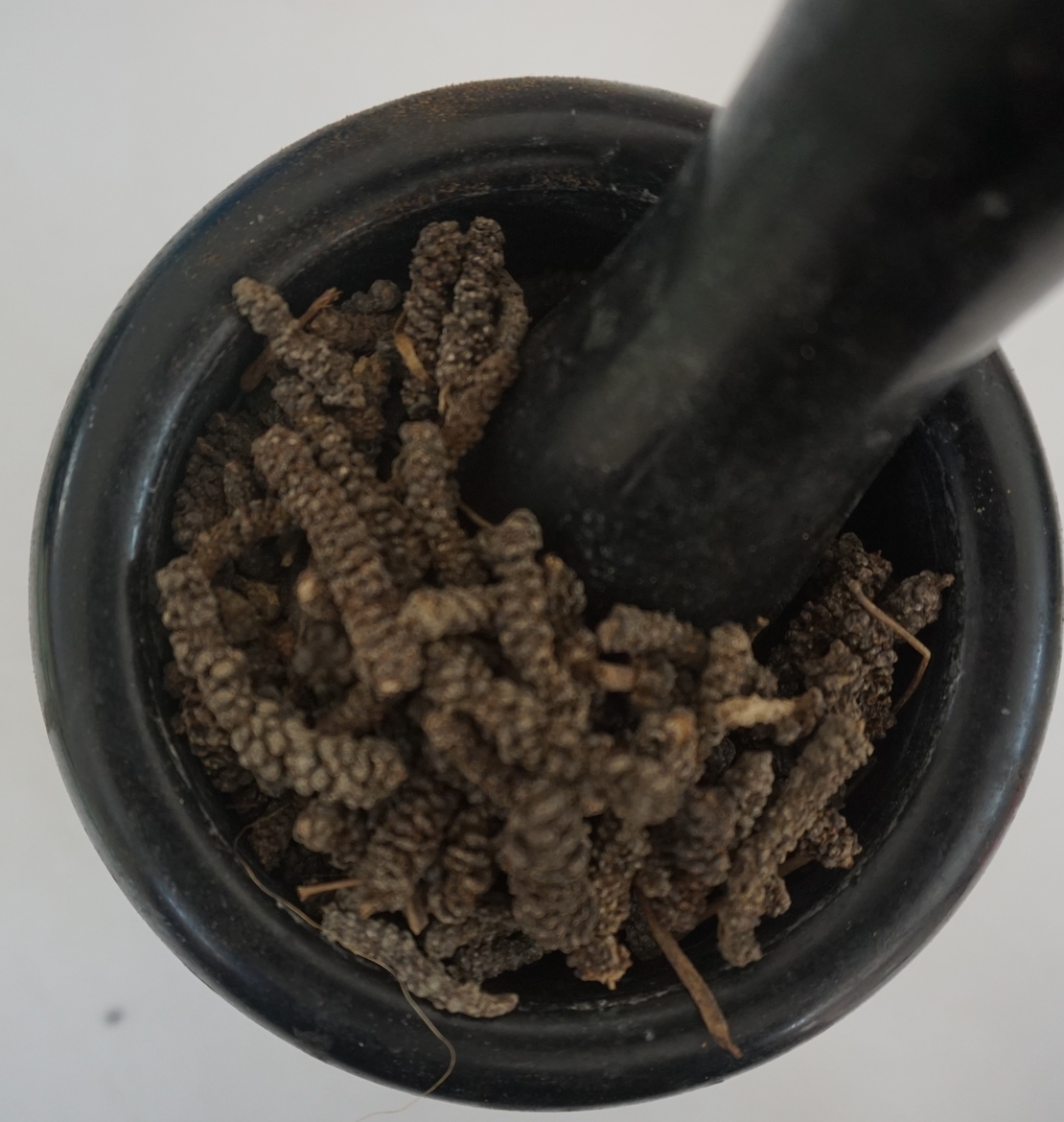 פלפל ארוך-(סבאת קמם) ሰባት ቅመም