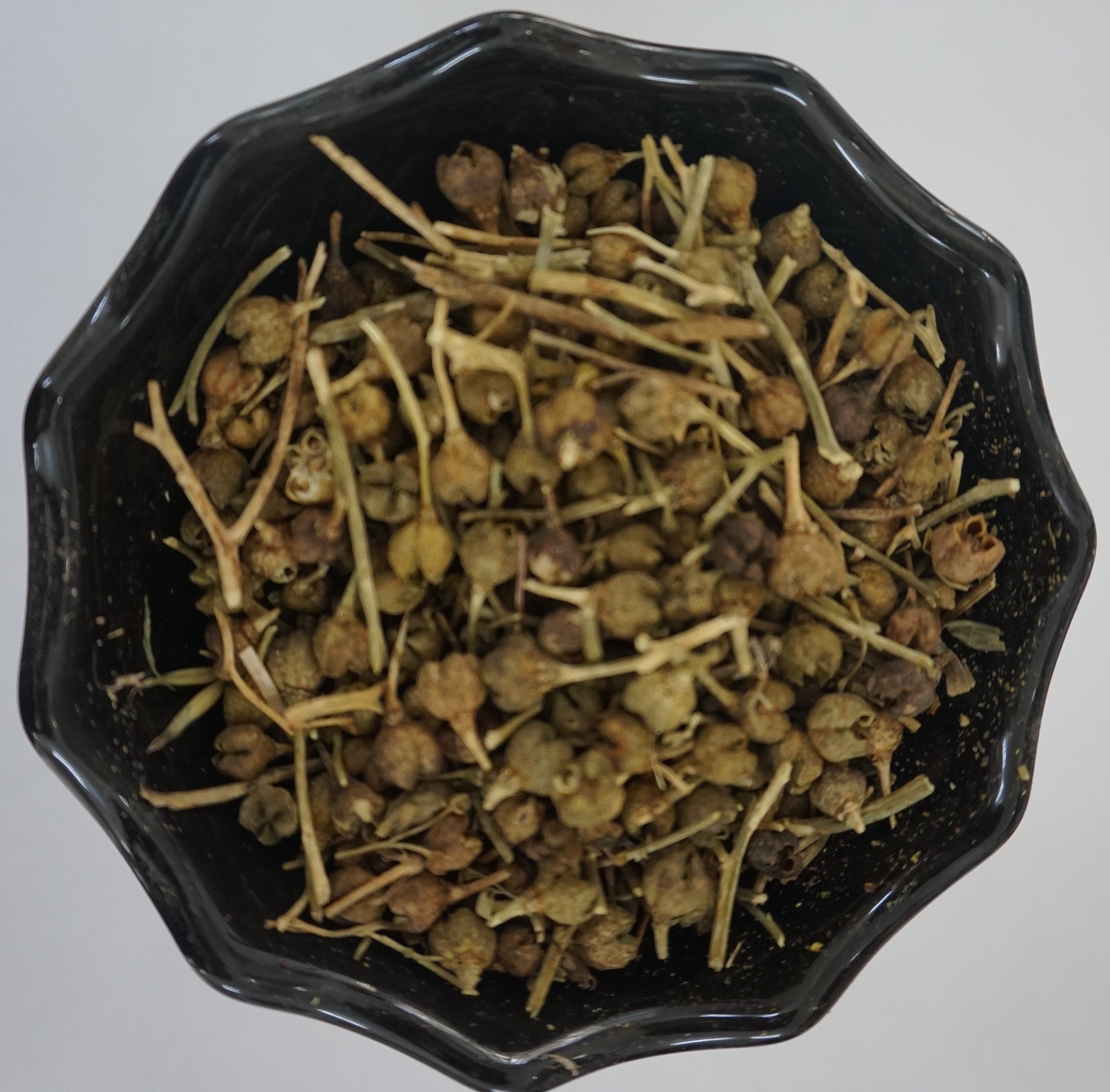 פיגם מצוי- (טֵנָה אַדַם)ጤና አዳም