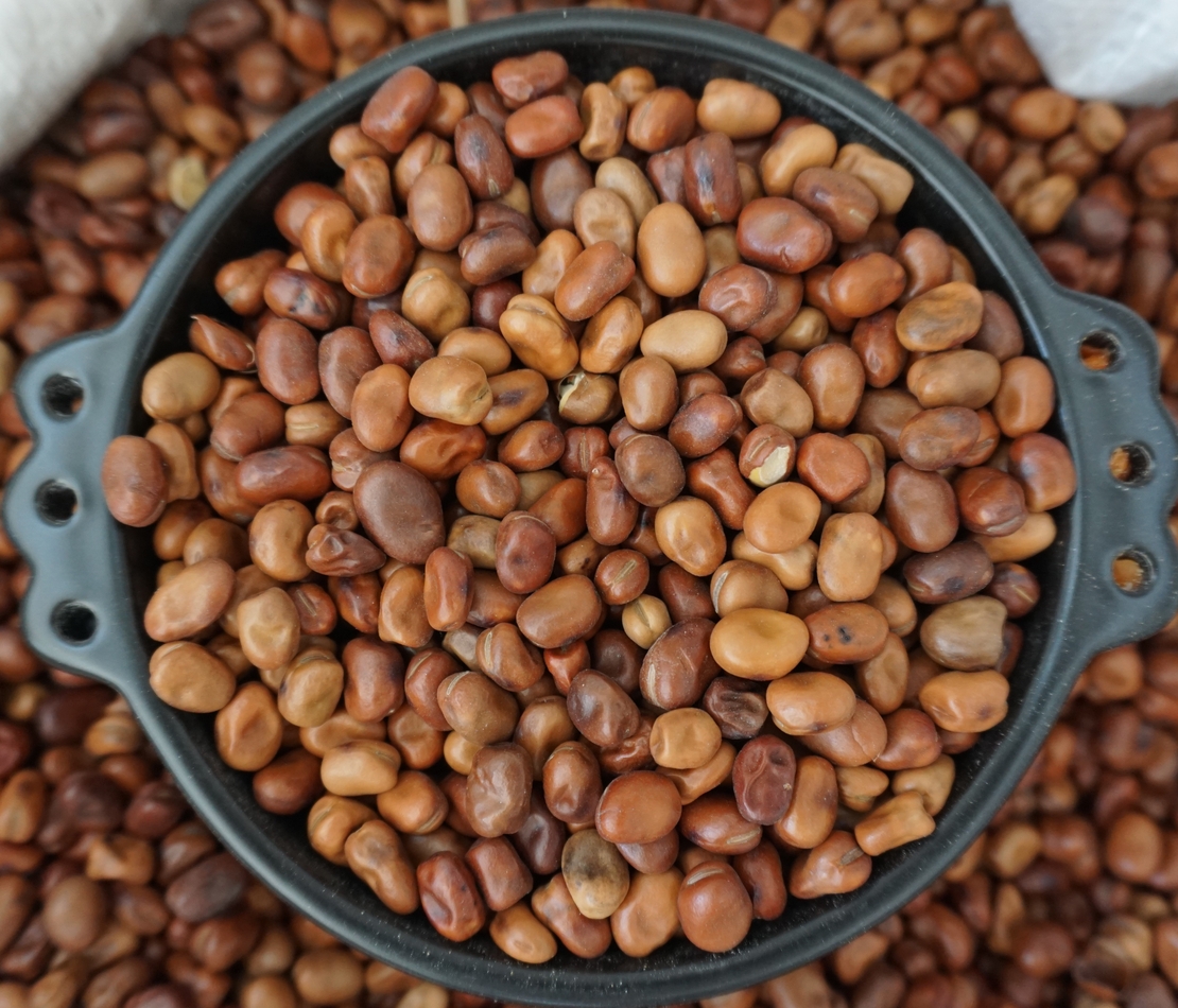 פול מיצרי- (בַּקֵלַה)ባቄላ