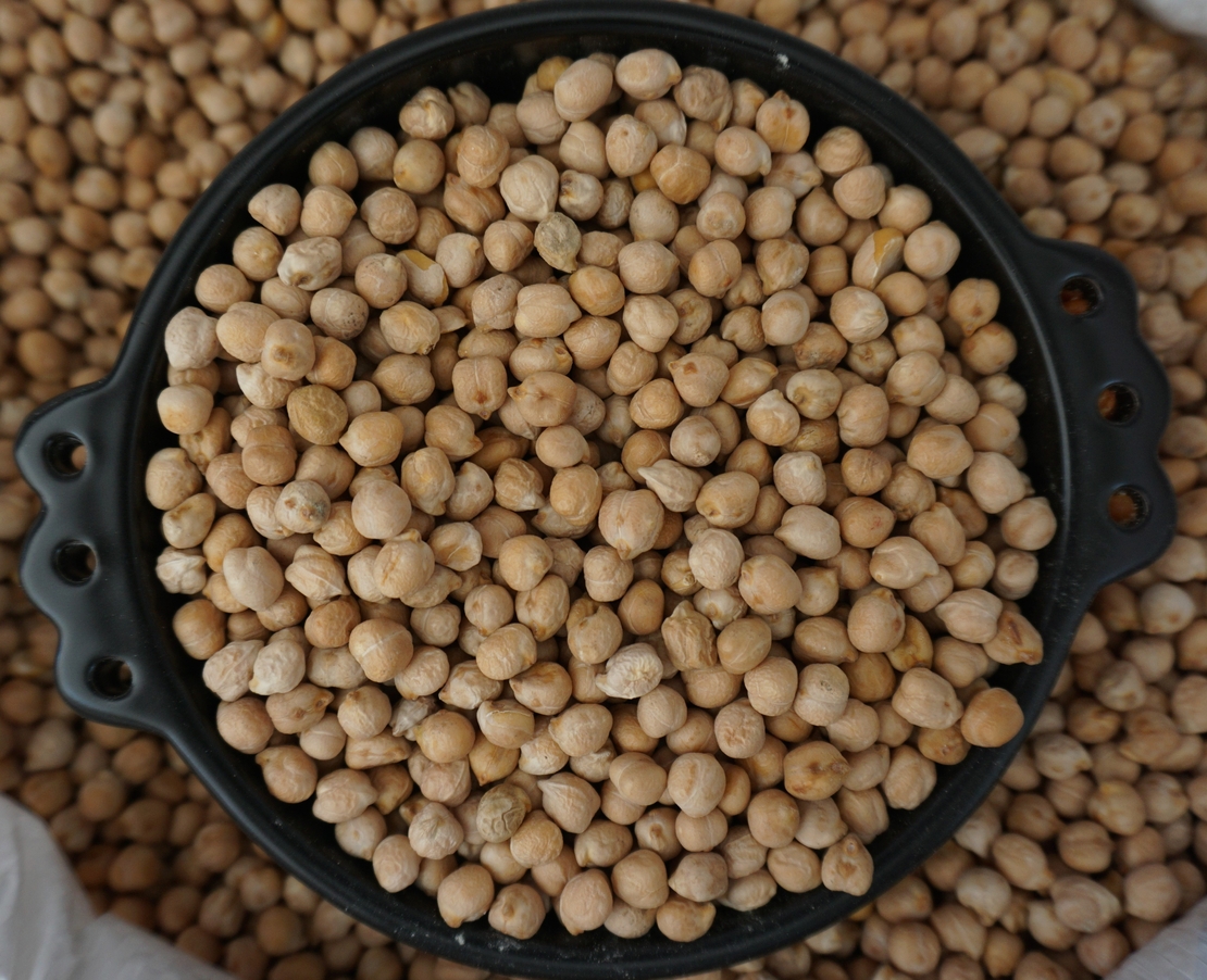 גרגירי חומוס מקסיקני- ሽምብራ  