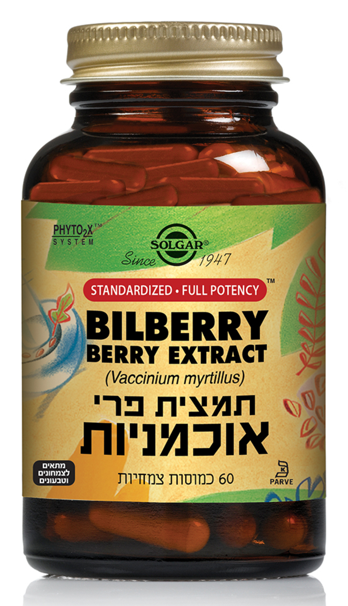 תמצית אוכמניות 60 כמוסות