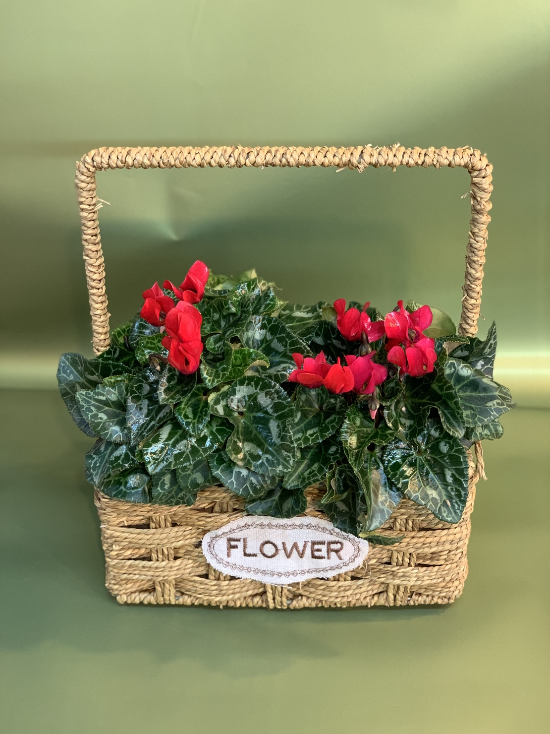 2 רקפות בסלסלה