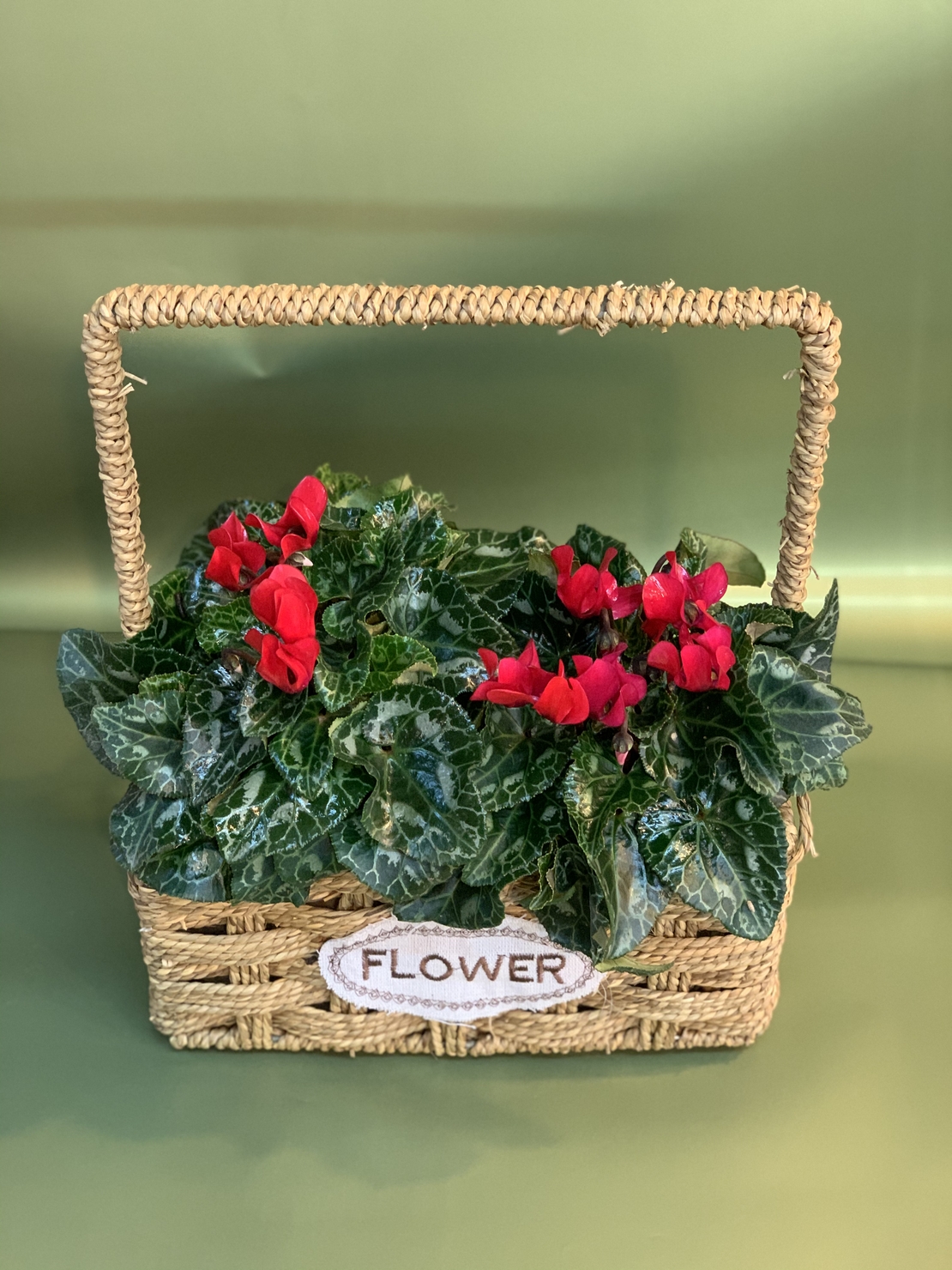 2 רקפות בסלסלה