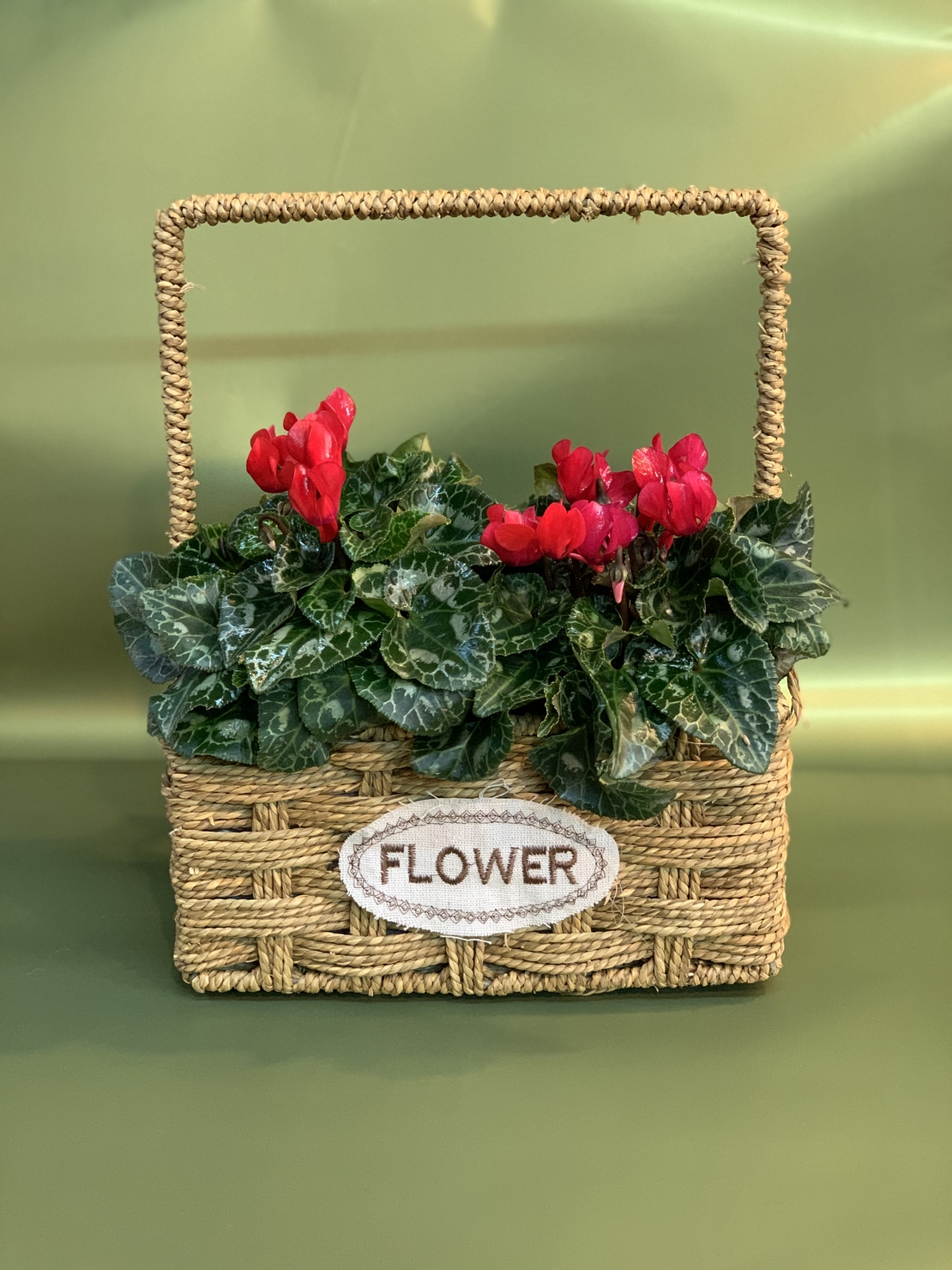 2 רקפות בסלסלה