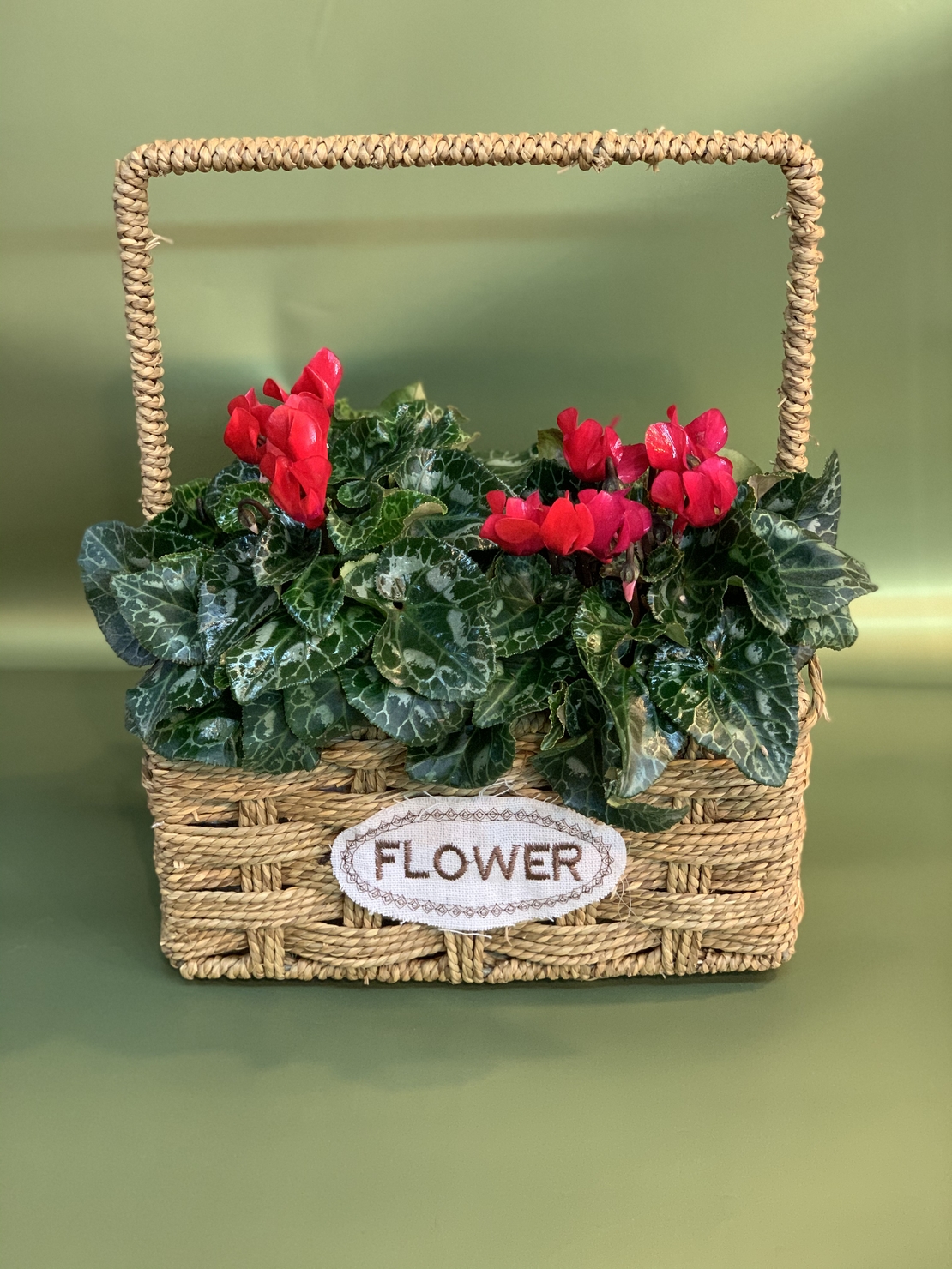 2 רקפות בסלסלה