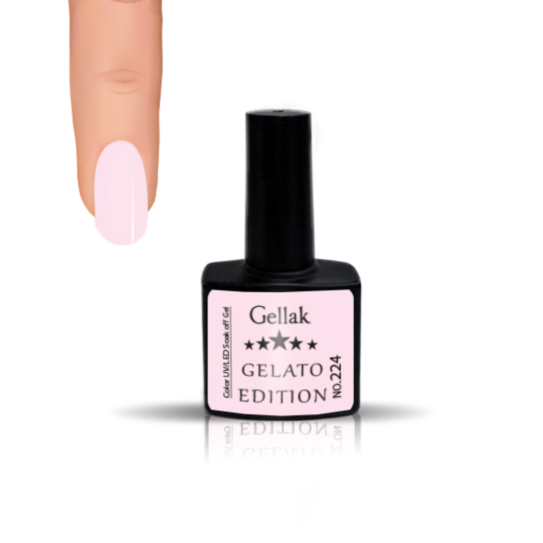 gelato edition 224