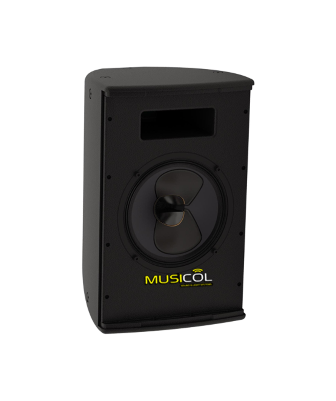 רמקול קוקסיאלי פסיבי 