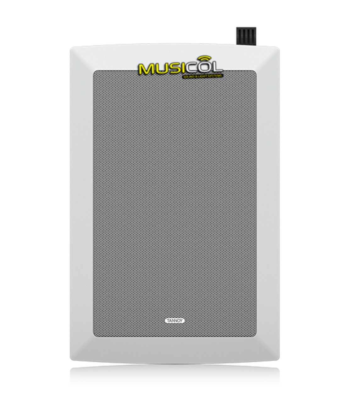 רמקול שקוע קיר 